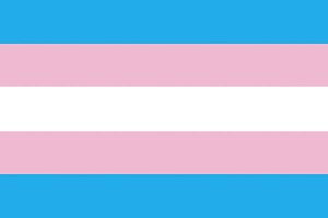 trans-flag